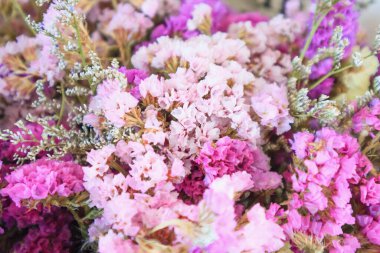 Bir buket kuru çiçek.