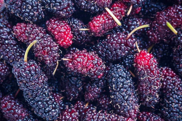 Fresh Mulberry Closeup Background — Stock Photo, Image