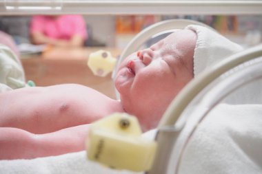 Yeni doğmuş bebek hastanedeki kuvözde uyuyor.