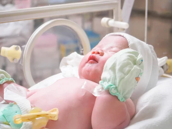 Újszülött Csecsemő Alvás Inkubátorban Kórházban — Stock Fotó