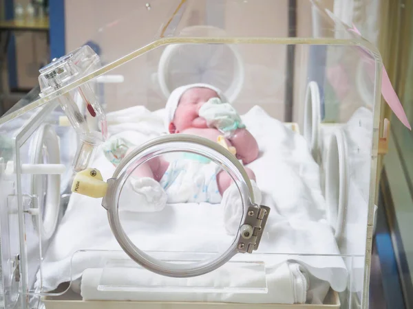 Newborn Baby Girl Incubator Hospital Post Delivery Room — Stock Photo, Image