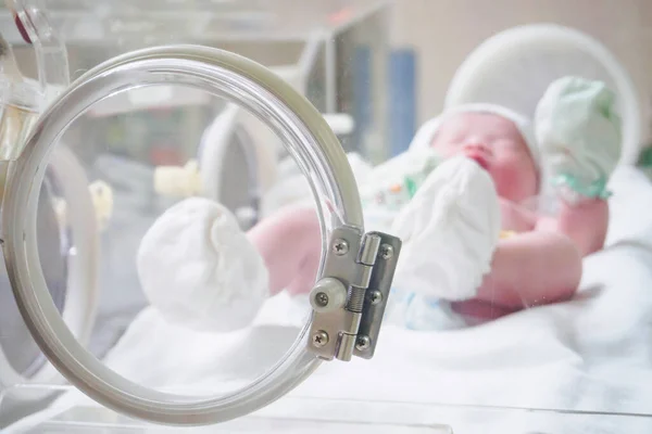 Menina Recém Nascida Dentro Incubadora Sala Pós Parto Hospital — Fotografia de Stock