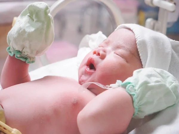 Niña Recién Nacida Dentro Incubadora Sala Post Parto Del Hospital — Foto de Stock