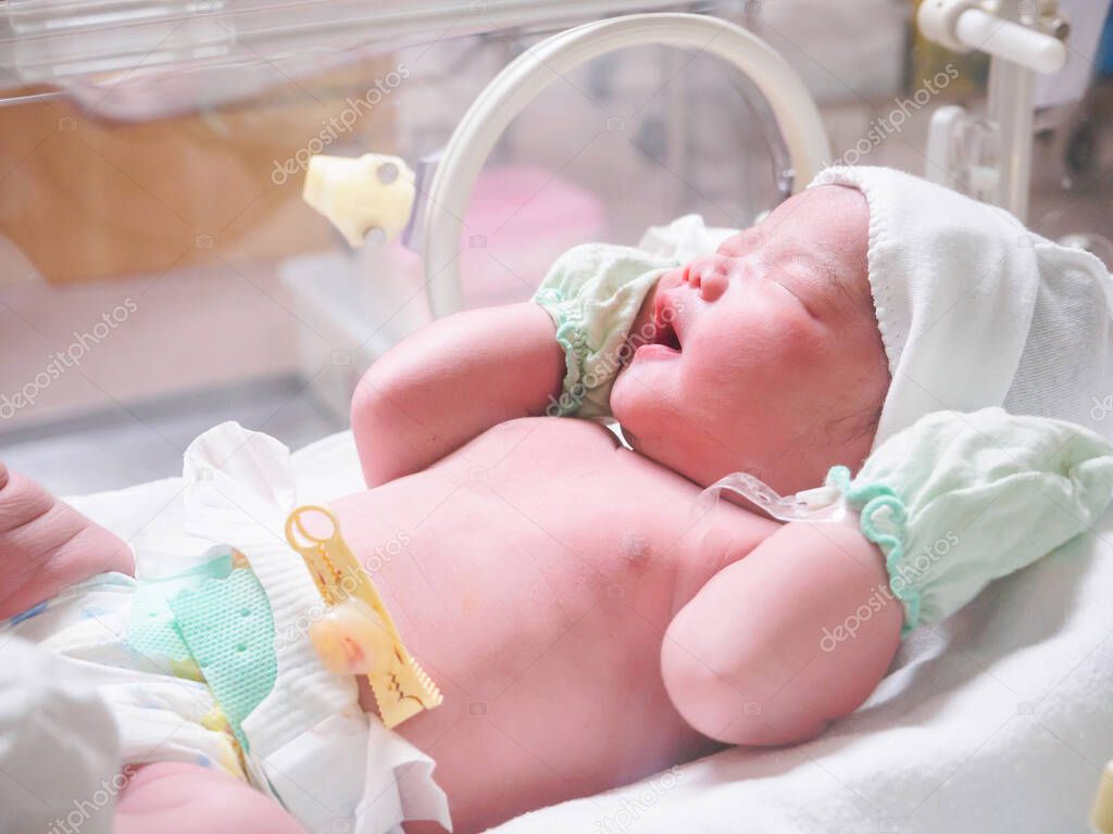 new born baby infant sleep in the incubator at hospital