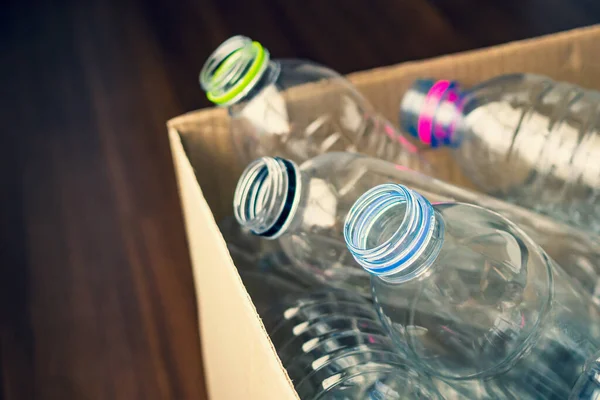 plastic bottles in recycling paper box reuse concept