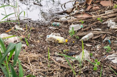 Çevrede plastik şişeler kirleniyor