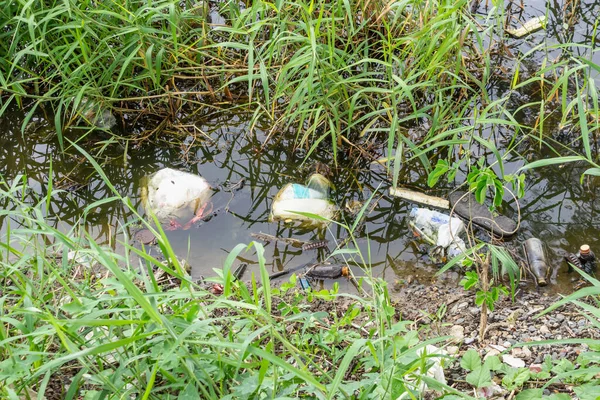 Plastic pollution in water pond environment
