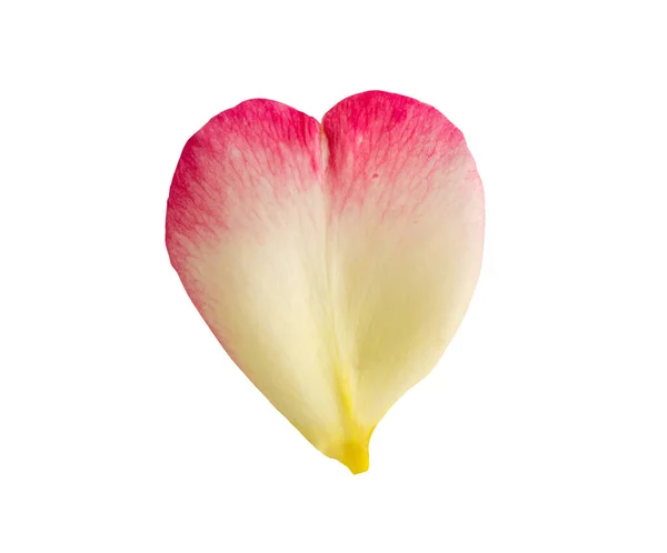 Forma Coração Pétalas Rosa Isoladas Fundo Branco Com Caminho Recorte — Fotografia de Stock