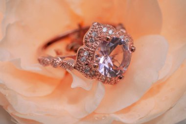 Gül çiçeğinin arka planında pembe elmas yüzük