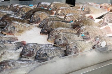 Piyasada buzda taze tilapia balığı