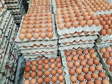 Süpermarkette satılık taze çiğ tavuk yumurtası.