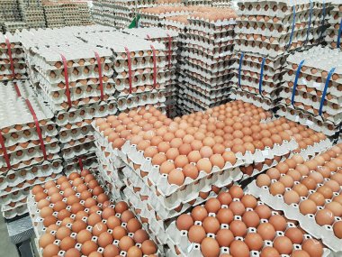 Süpermarkette satılık taze çiğ tavuk yumurtası.