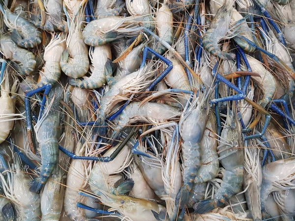 Crevettes Fraîches Sur Glace Marché — Photo