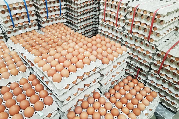 Süpermarkette satılık taze çiğ tavuk yumurtası.