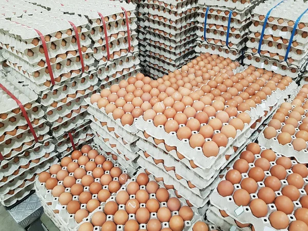 Süpermarkette satılık taze çiğ tavuk yumurtası.