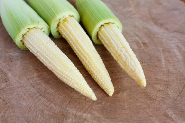 bebek mısır ahşap arka planda