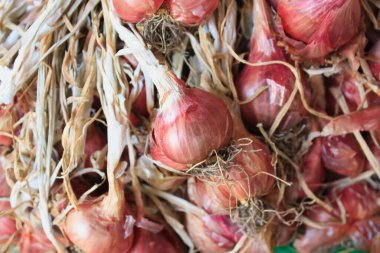 Kırmızı Soğan arkaplanı kapat