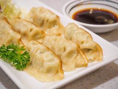 Sebzeli Gyoza köftesi, Japon yemeği.