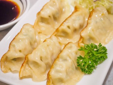 Sebzeli Gyoza köftesi, Japon yemeği.