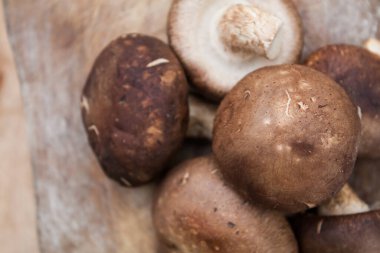 Ahşap arka planda Shiitake mantarları