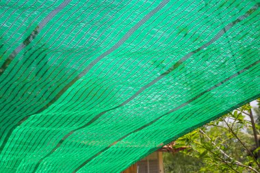 Yeşil Gölge Ağı Güneş ışığını korur