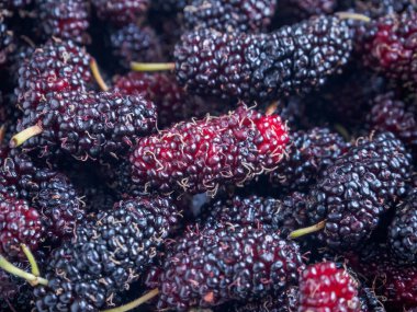 taze dut yakın plan arka plan