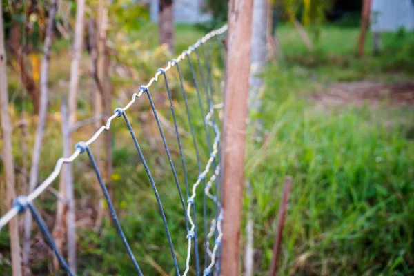 Μεταλλικό Σύρμα Φράχτη Και Πράσινο Γρασίδι — Φωτογραφία Αρχείου