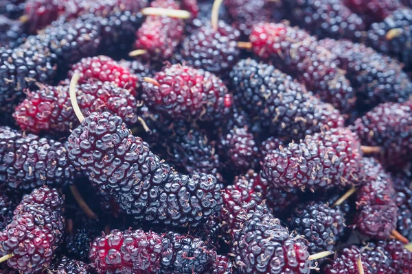 Fresh Mulberry Closeup Background — Stock Photo, Image