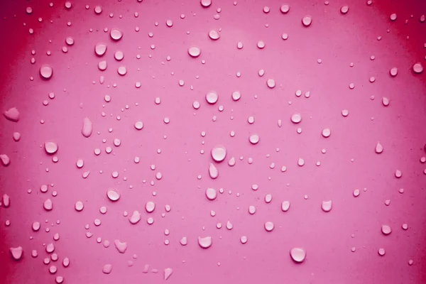 Капли Воды Розовом Фоне — стоковое фото