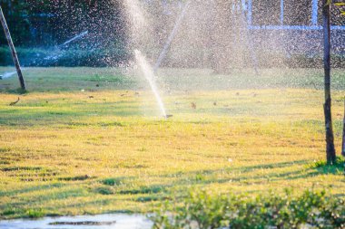 Otomatik bahçe fıskiyeleri bahçedeki yeşil çimlerin üzerinde sulanıyor.