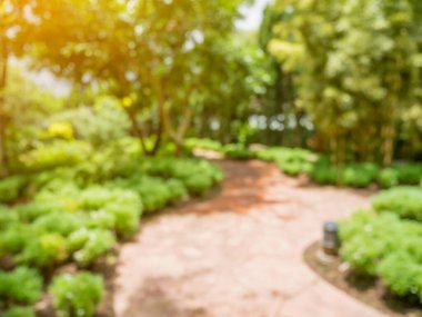 Çiçeklerin arasındaki yürüyüş yolu arka planda bulanık