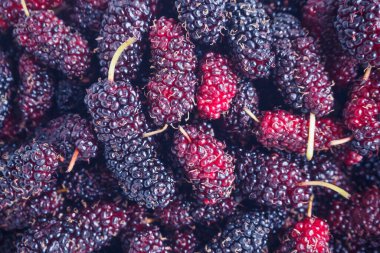 taze dut yakın plan arka plan