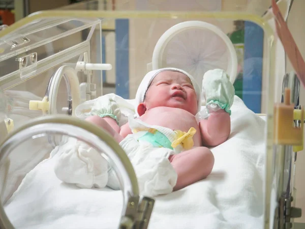 new born baby infant sleep in the incubator at hospital