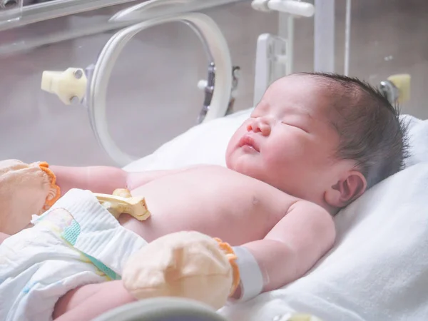 Niña Recién Nacida Dentro Incubadora Sala Post Parto Del Hospital —  Fotos de Stock