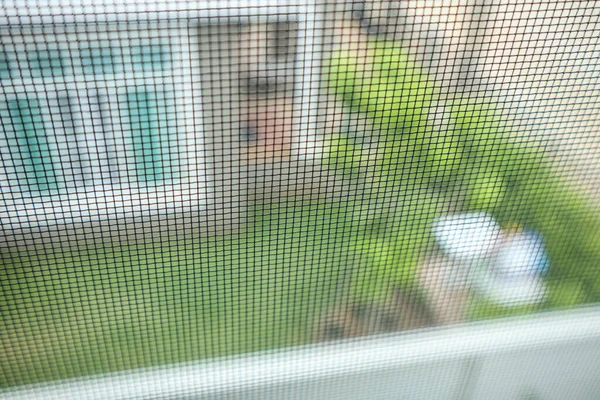 Москітна Сітка Екрану Дроту Захист Вікна Будинку Від Комах — стокове фото