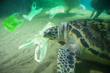 Deniz kaplumbağası plastik torba yer okyanus kirliliği kavramı