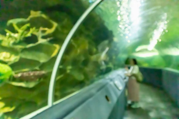 Underwater Tunnel Aquarium Blur Background — Stock Photo, Image