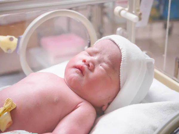 病院の保育器で生まれたばかりの赤ちゃんは — ストック写真