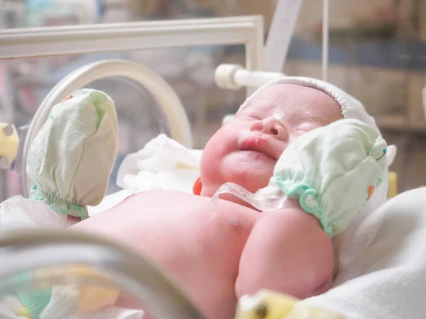 Recém Nascido Bebê Bebê Dormir Incubadora Hospital — Fotografia de Stock