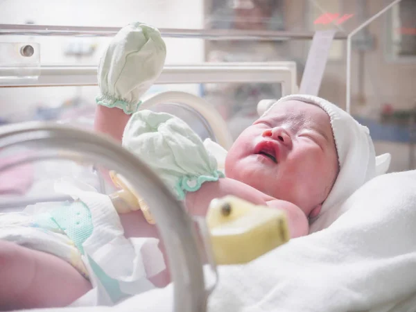 Bebé Recién Nacido Sueño Incubadora Hospital — Foto de Stock