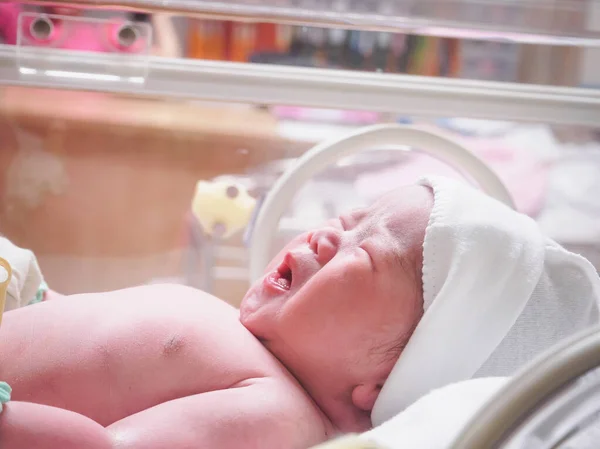 Újszülött Kislány Inkubátorban Kórházi Szülés Utáni Szobában — Stock Fotó