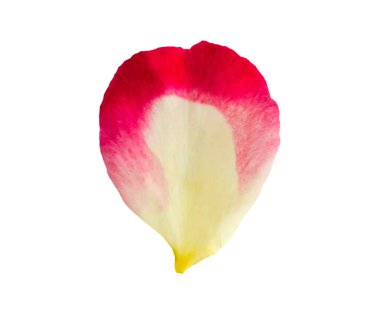 kırpma yolu ile beyaz arkaplanda izole gül yaprakları