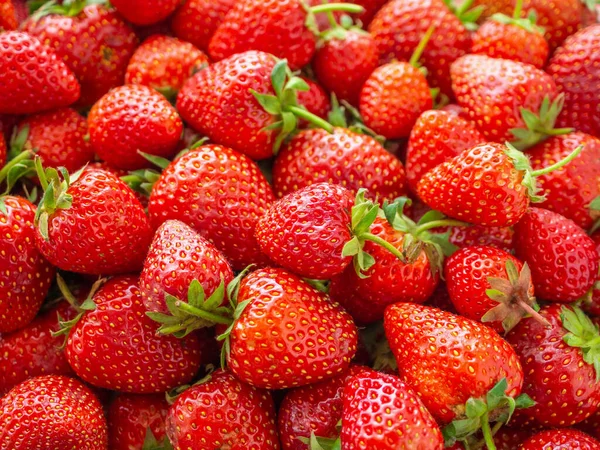 Frische Bio Erdbeeren Hintergrund Von Oben Nahaufnahme — Stockfoto