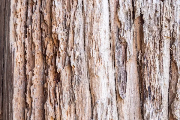 Starý Rustikální Dřevo Textury Pozadí — Stock fotografie