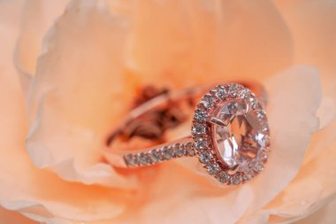 Gül çiçeğinin arka planında pembe elmas yüzük