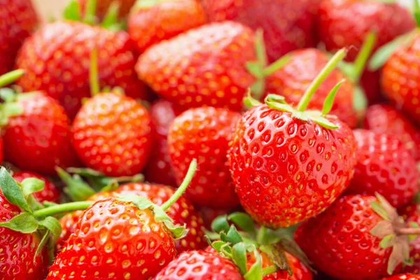 Taze organik kırmızı olgun çilek arkaplanı yakın plan