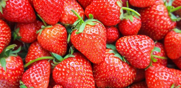 Fresh Organic Red Ripe Strawberry Fruit Background Top View Closeup — Stock Photo, Image