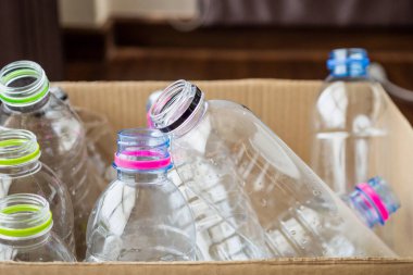 Geri dönüşüm kutusundaki plastik şişeler konsepti yeniden kullanır