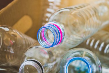 Geri dönüşüm kutusundaki plastik şişeler konsepti yeniden kullanır