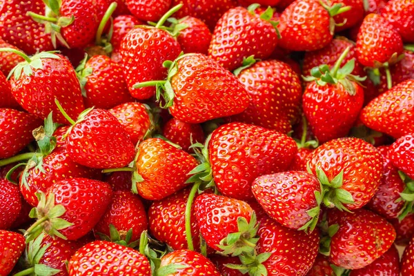 Verse Biologische Aardbeien Fruit Achtergrond Bovenaanzicht Close — Stockfoto